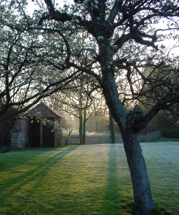 Tree of Life Centre Cheltenham Gloucestershire