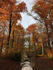 Trees Feet choosing a naturopathy pathway