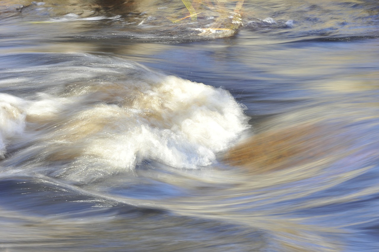 zoom guided meditation Patricia Sterry, Tree of Life Centre Cheltenham Gloucestershire