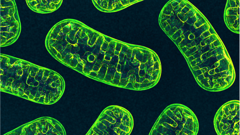 mitrochondrial cells Flexbeam Interex Zulia Frost zoom webinar