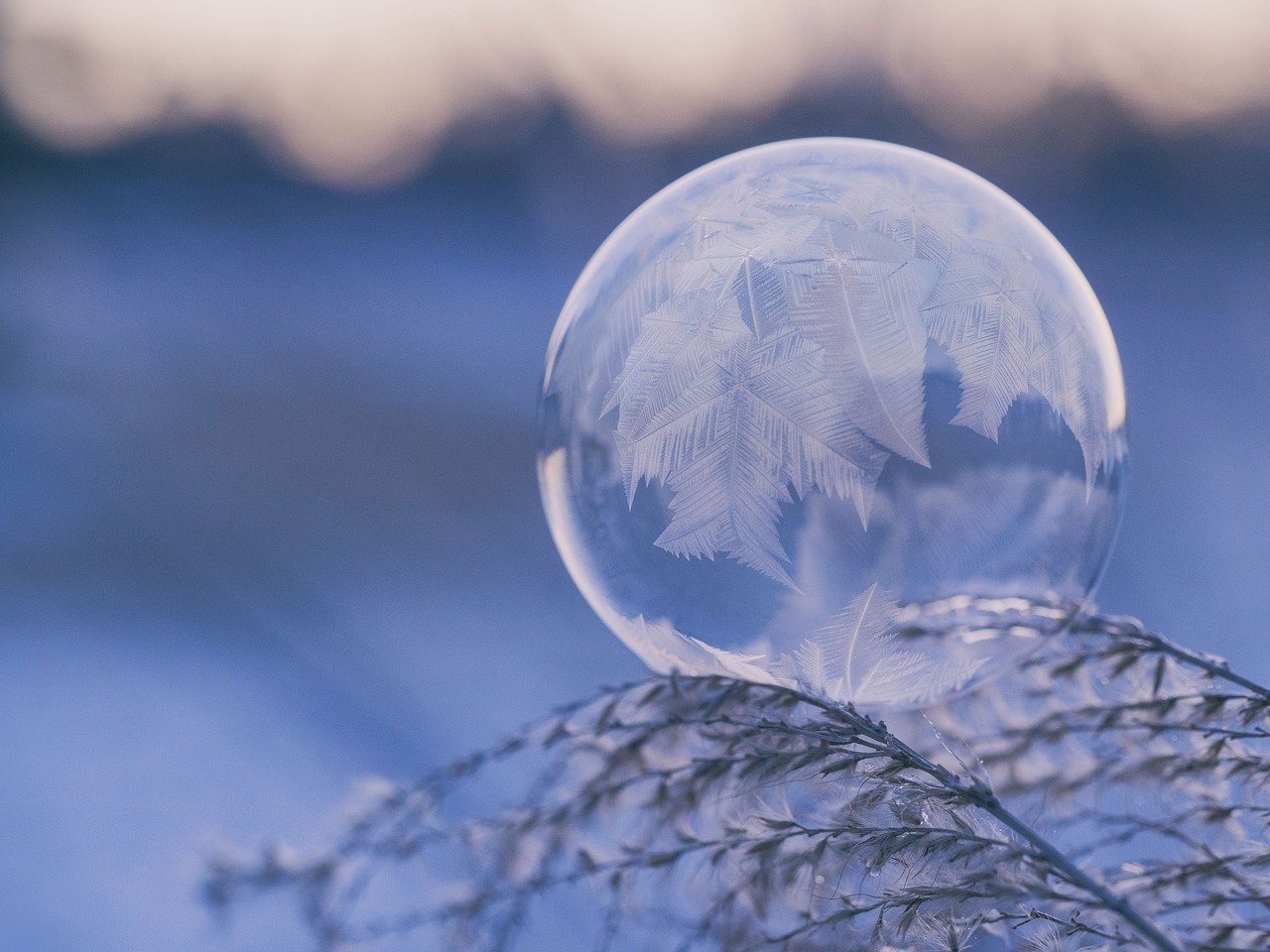 zoom webinar Patricia Sterry What is Spirit frozen drop Tree of Life Centre Cheltenham Gloucestershire